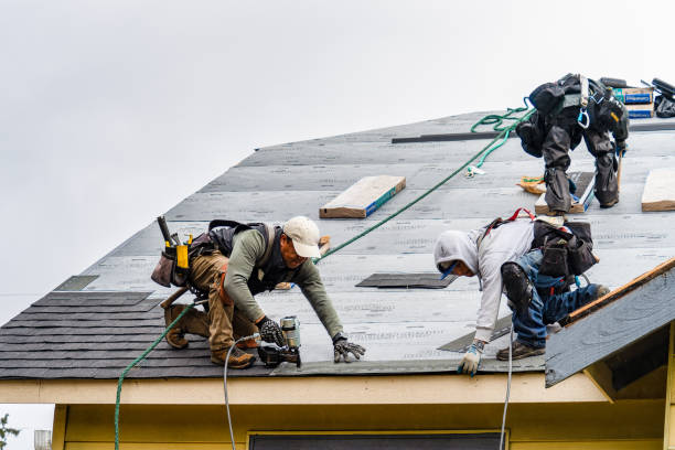 Professional Roofing technician working in Sanborn, IA